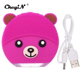 Ultrasonic Cleansing Device